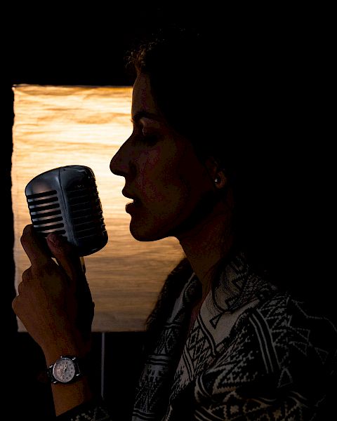 A silhouette of a person in profile holding a vintage microphone with a softly lit background. The person appears to be singing or speaking into the microphone.