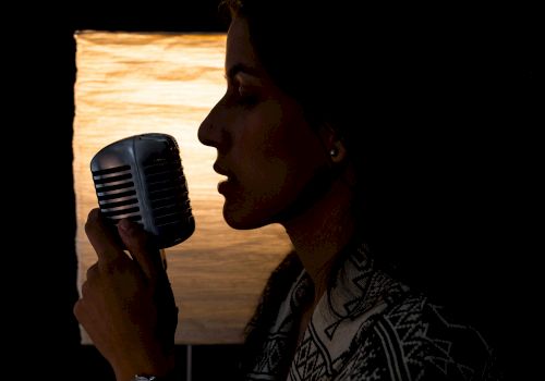 A silhouette of a person in profile holding a vintage microphone with a softly lit background. The person appears to be singing or speaking into the microphone.